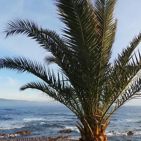 Lejlighed T2 Imperial *